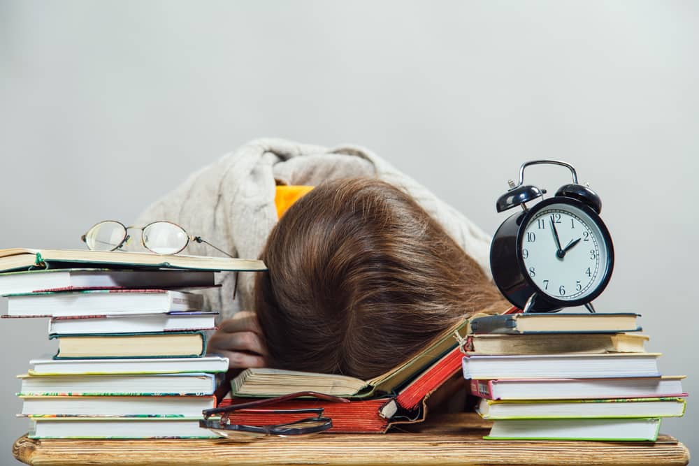 Splošna matura 2026
