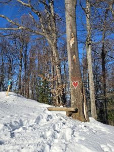 Pod Mariborskim razglednikom
