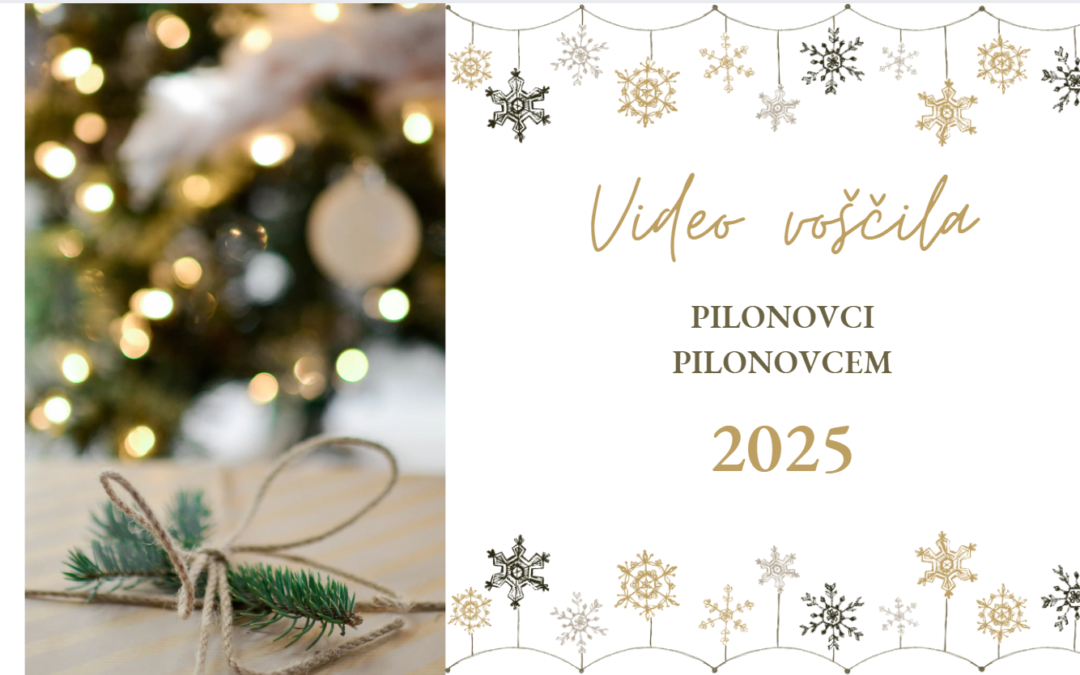Pilonovci pilonovcem