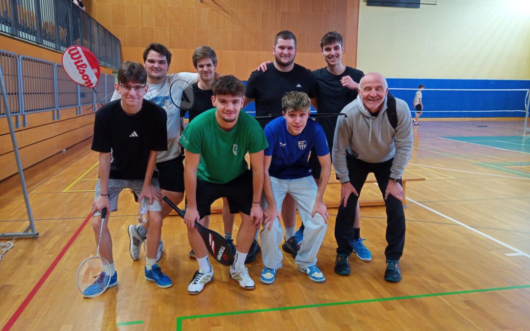 Področno tekmovanje v badmintonu