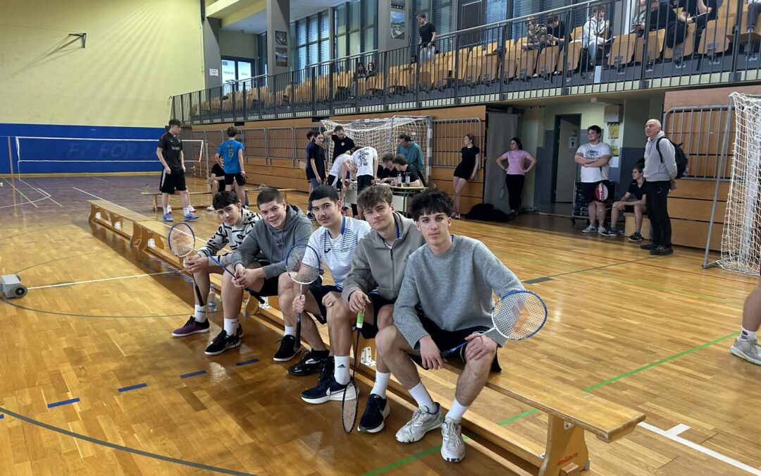 Področno tekmovanje v badmintonu