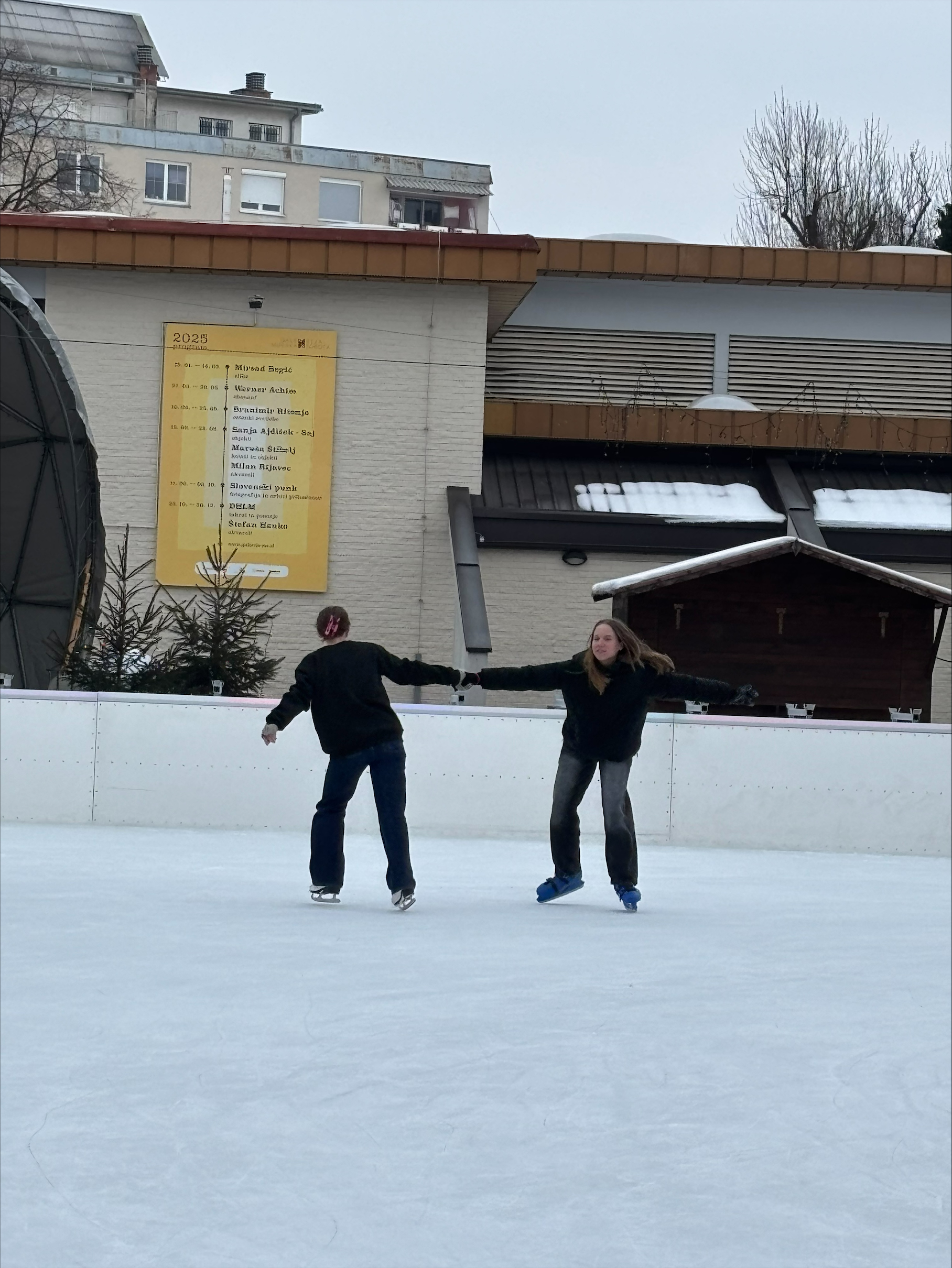 Zimski športni dan Zimski športni dan