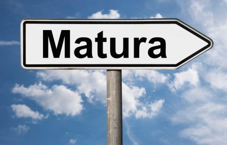 POKLICNA MATURA – ZIMSKI IZPITNI ROK PM 2025