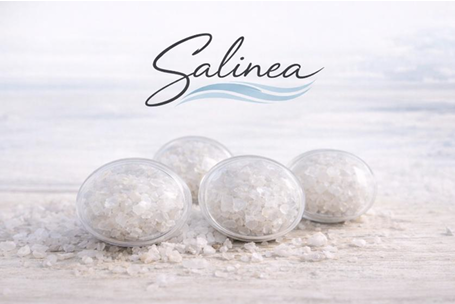 Turistična tržnica na sejmu Alpe-Adria 2026 SALINEA – Morska sol za zdrav dih, glasujte za našo idejo!