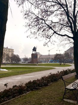 IMG_2586 IMG_2586