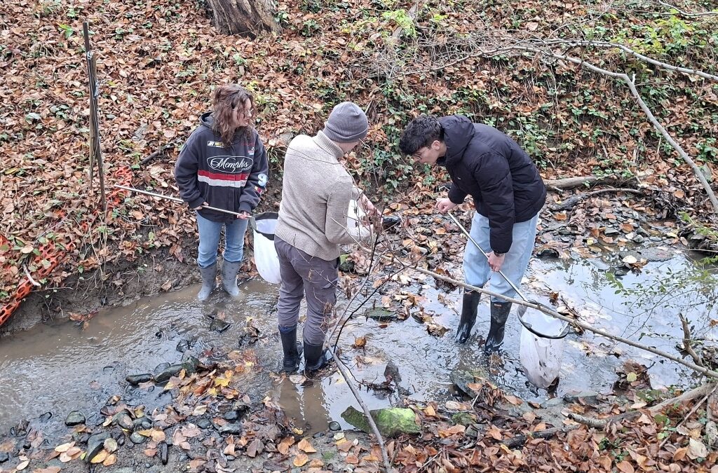 Kako je, ko šolski zvonec zazvoni kar sredi vinograda?