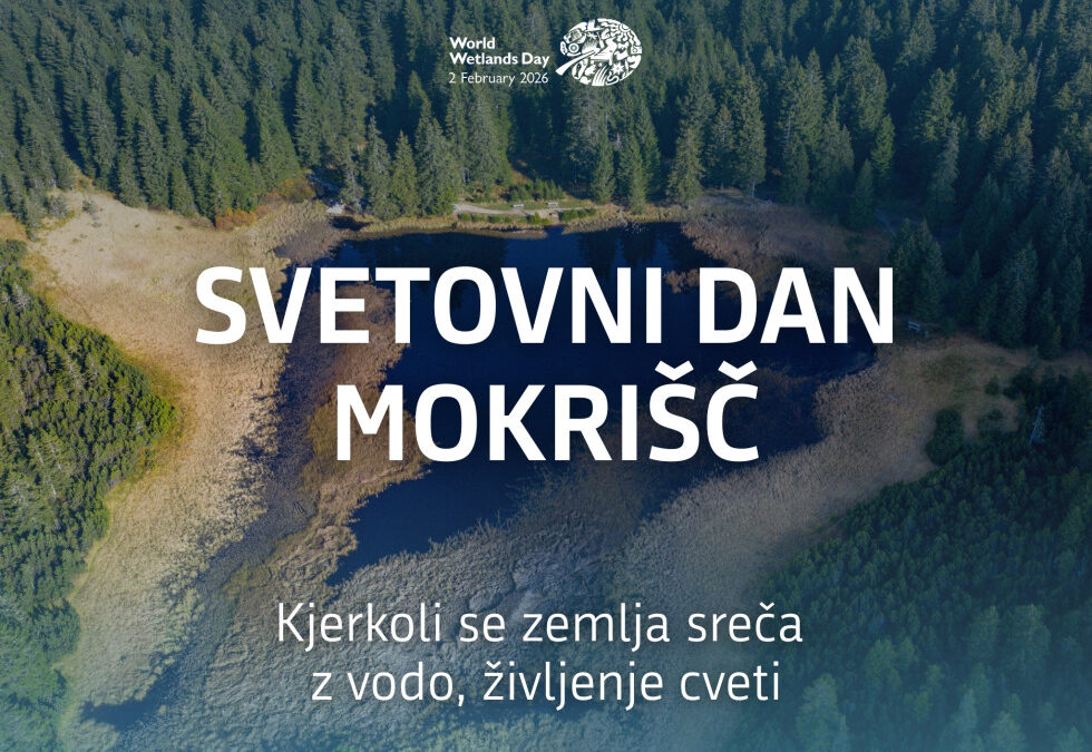 2. februar – Svetovni dan mokrišč: kjerkoli se zemlja sreča z vodo, življenje cveti