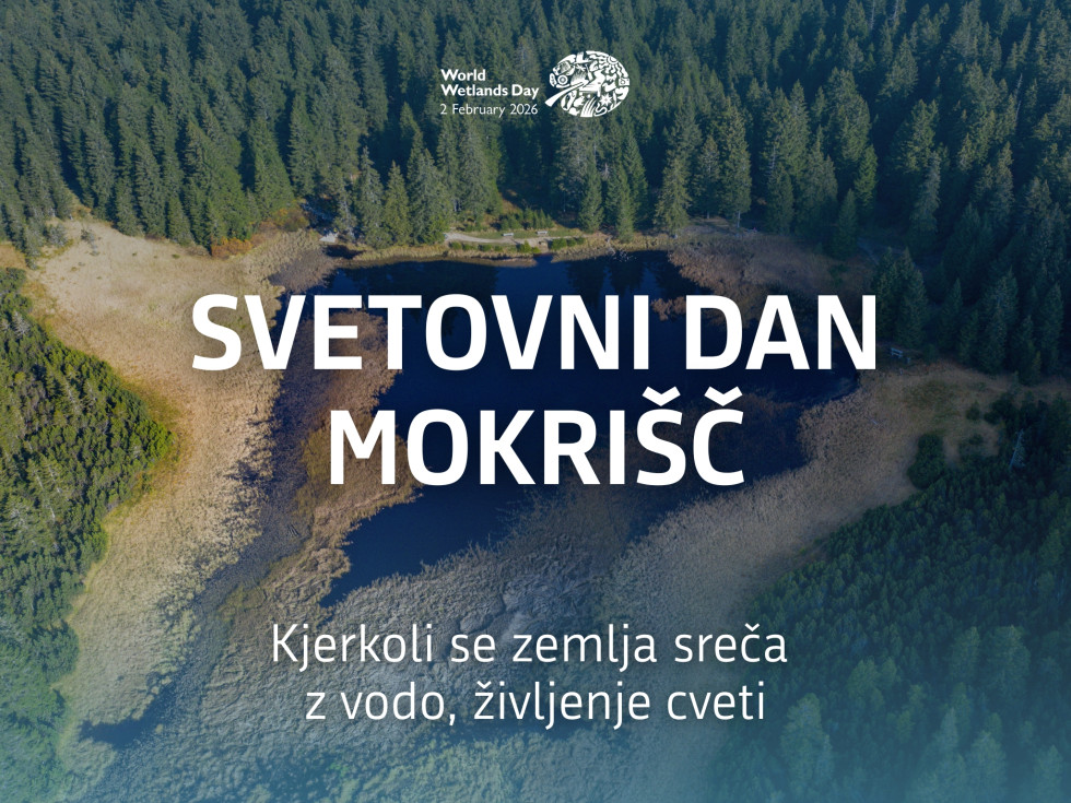 2. februar – Svetovni dan mokrišč: kjerkoli se zemlja sreča z vodo, življenje cveti 2. februar – Svetovni dan mokrišč: kjerkoli se zemlja sreča z vodo, življenje cveti