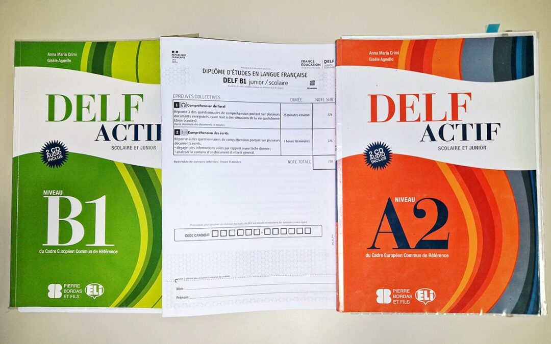 Priprave na Francosko jezikovno diplomo 2026