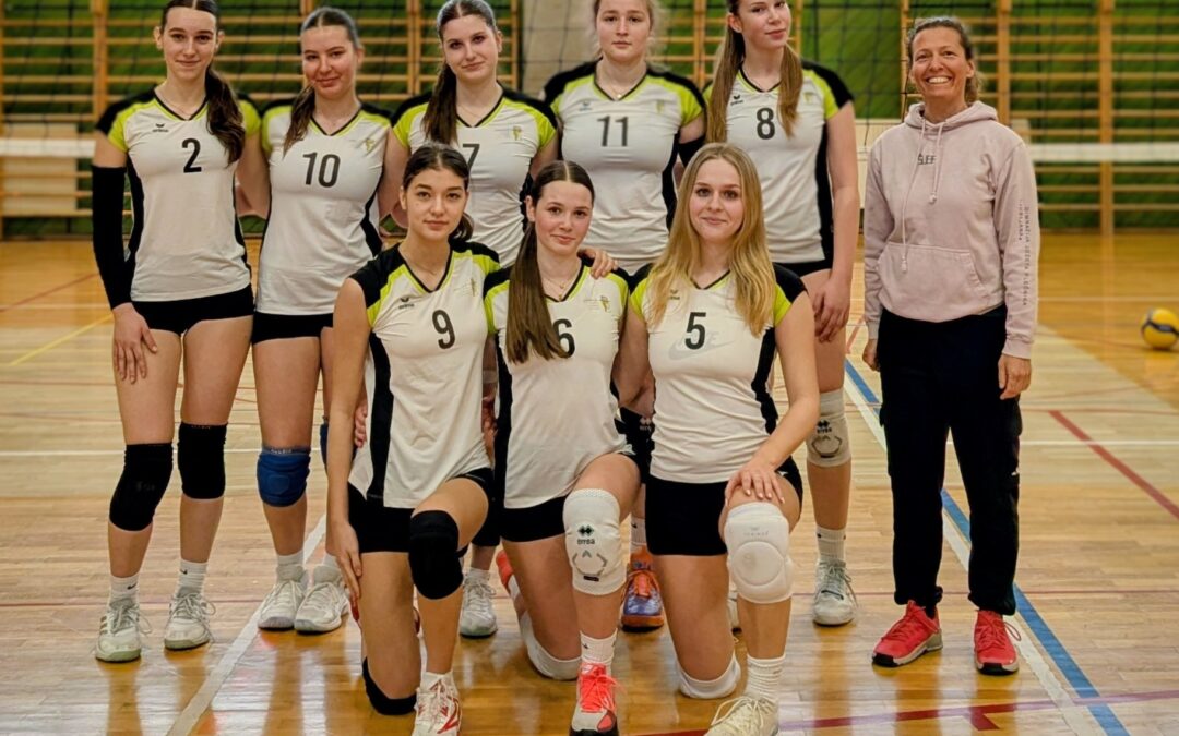 Področno tekmovanje srednjih šol v odbojki