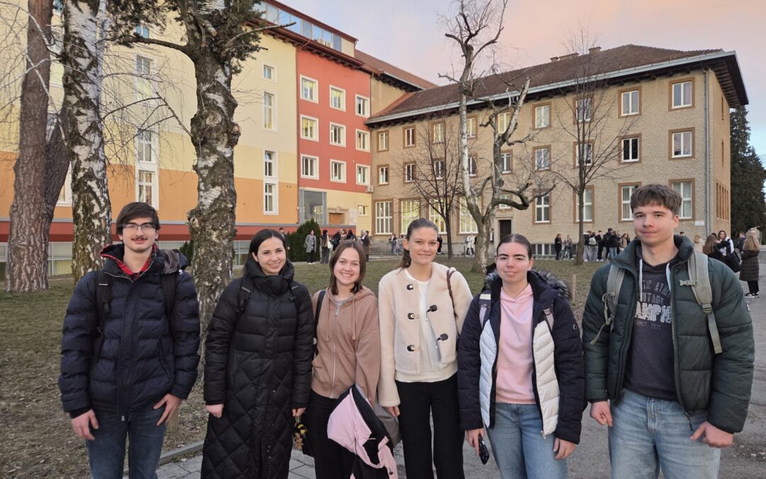 Uspeh dijakov na šolskem in državnem tekmovanju iz nemščine