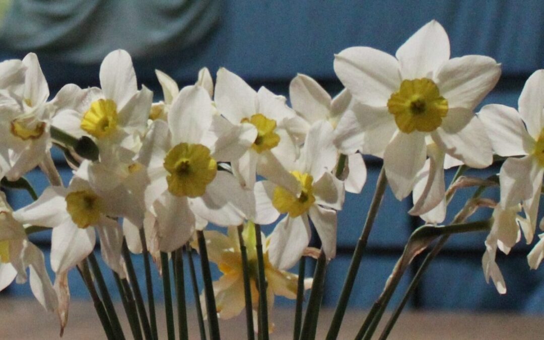 Pomladni praznik OŠ, 14. in 15.4.2026