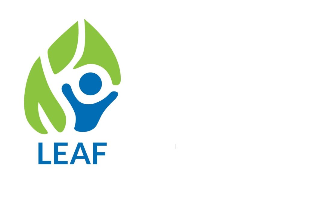 Likovni natečaj LEAF