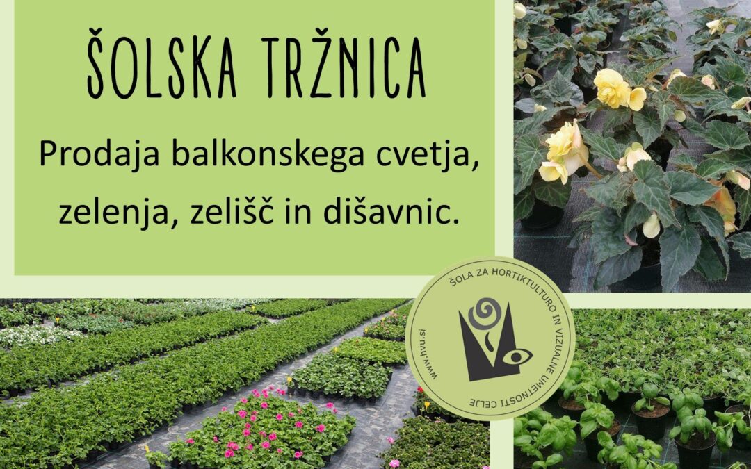 Prodaja balkonskega cvetja, sadik vrtnin, zelišč in dišavnic ter špargljev