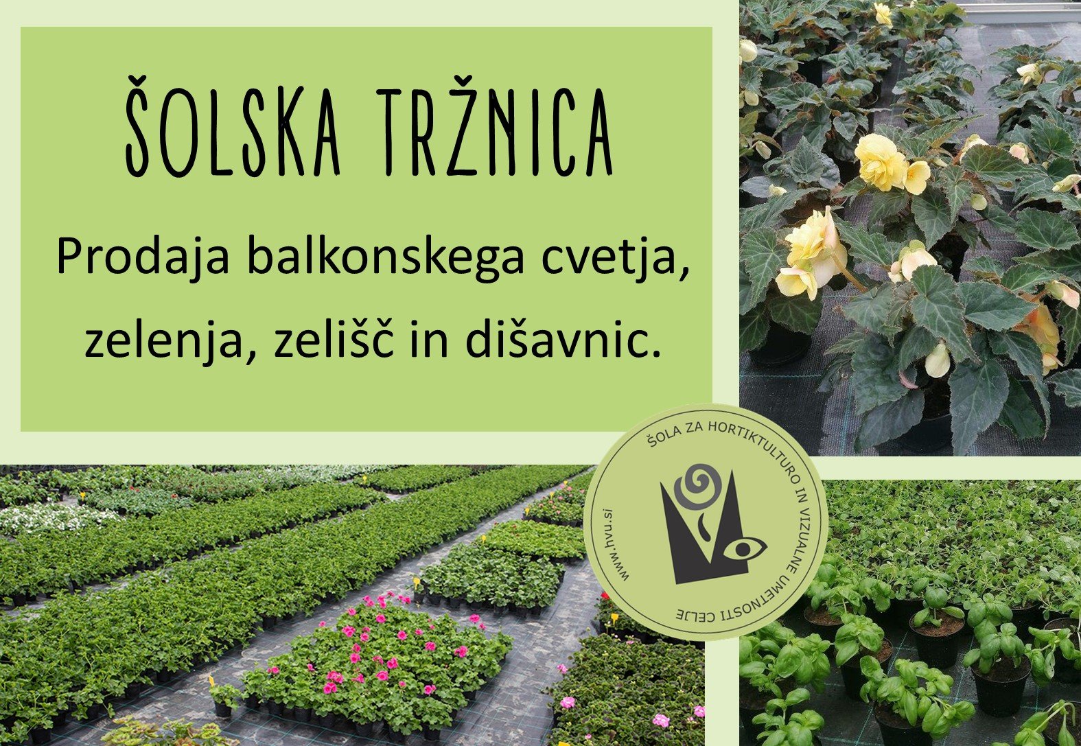Prodaja balkonskega cvetja, sadik vrtnin, zelišč in dišavnic ter špargljev Prodaja balkonskega cvetja, sadik vrtnin, zelišč in dišavnic ter špargljev