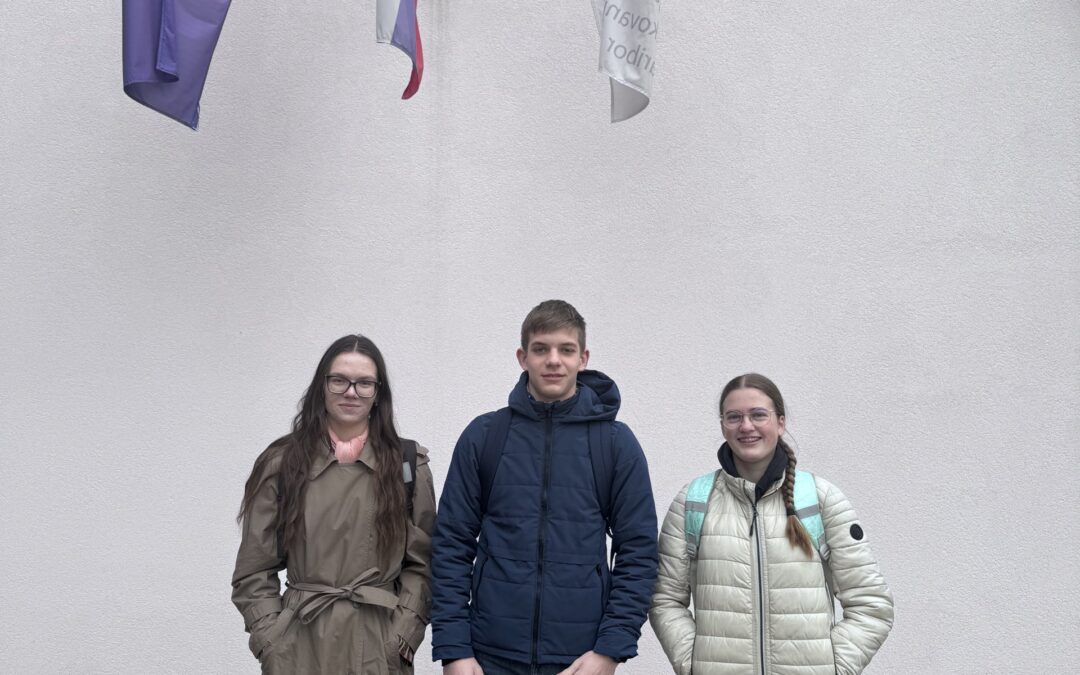 DVE ZLATI PRIZNANJI IZ ZGODOVINE ZA SŠ ČRNOMELJ