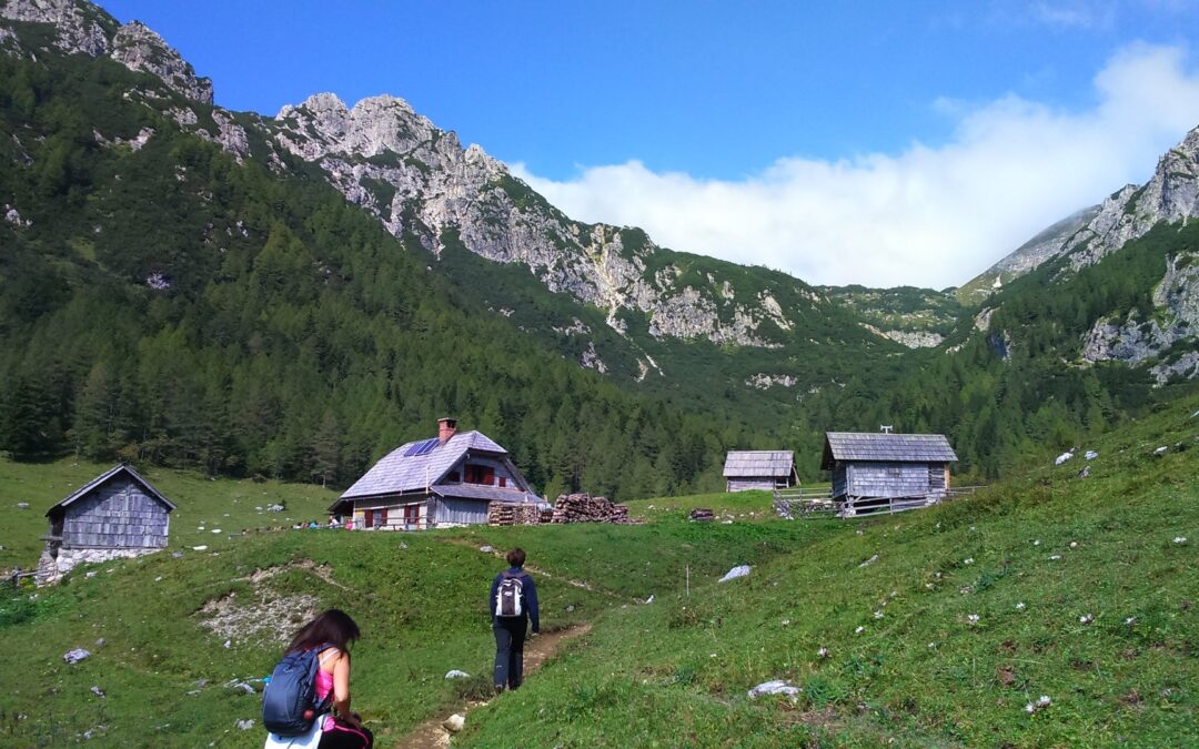 Spomladanski športni dan za dijake 2. letnika, 23. 4. 2026