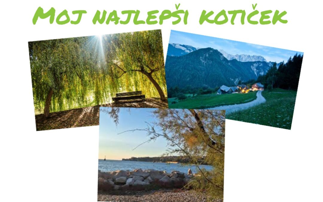 Foto natečaj: Moj najlepši kotiček