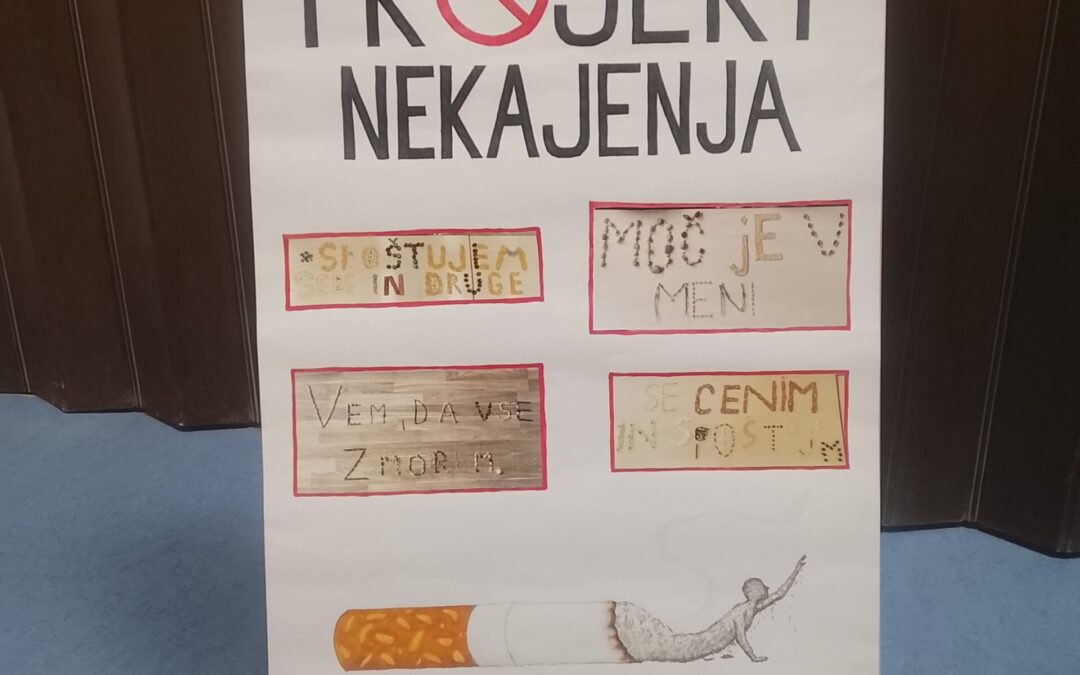 PROJEKT NEKAJENJA in vegi piškot