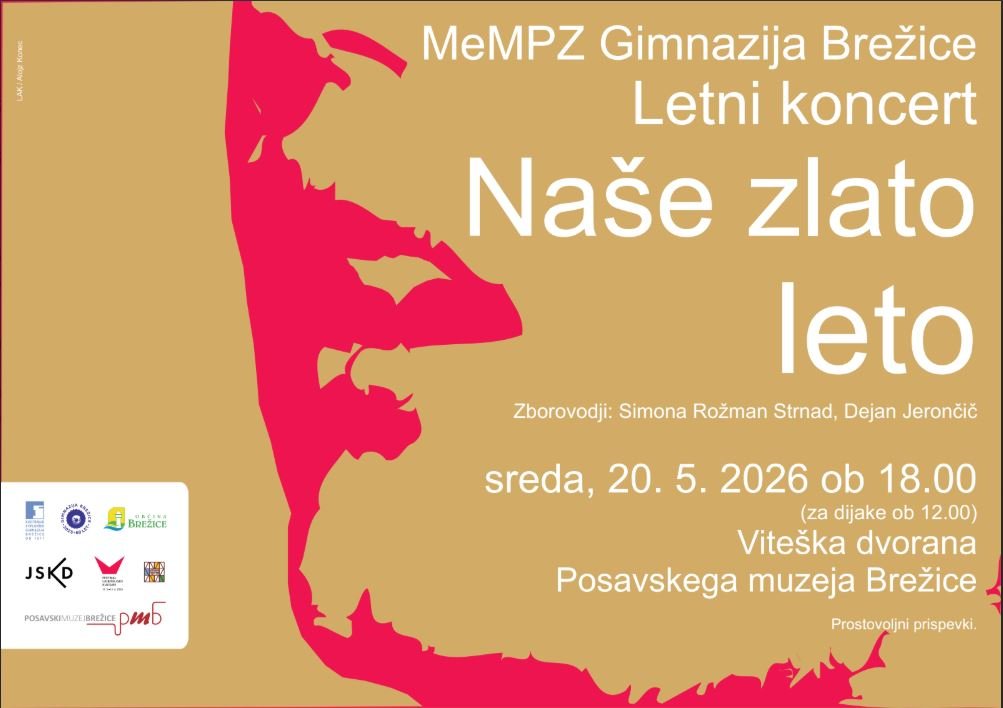 Naše zlato leto Naše zlato leto
