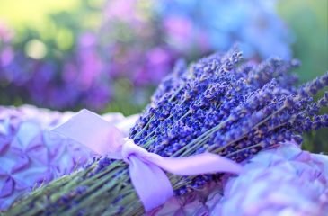 Obvestilo o omejitvah v zvezi s sprejemanjem daril